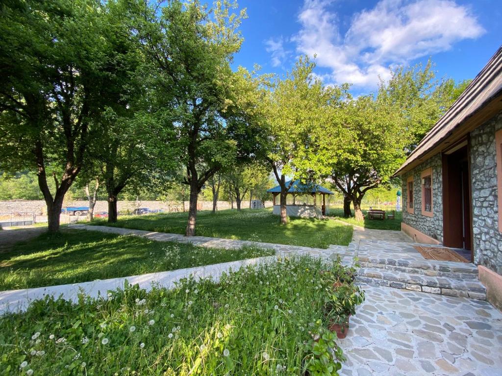 255945853 svg+xml;charset=utf - VisitShkoder