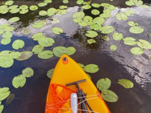 Drini Times Shkoder Lake Tour - Guided tour Lillie